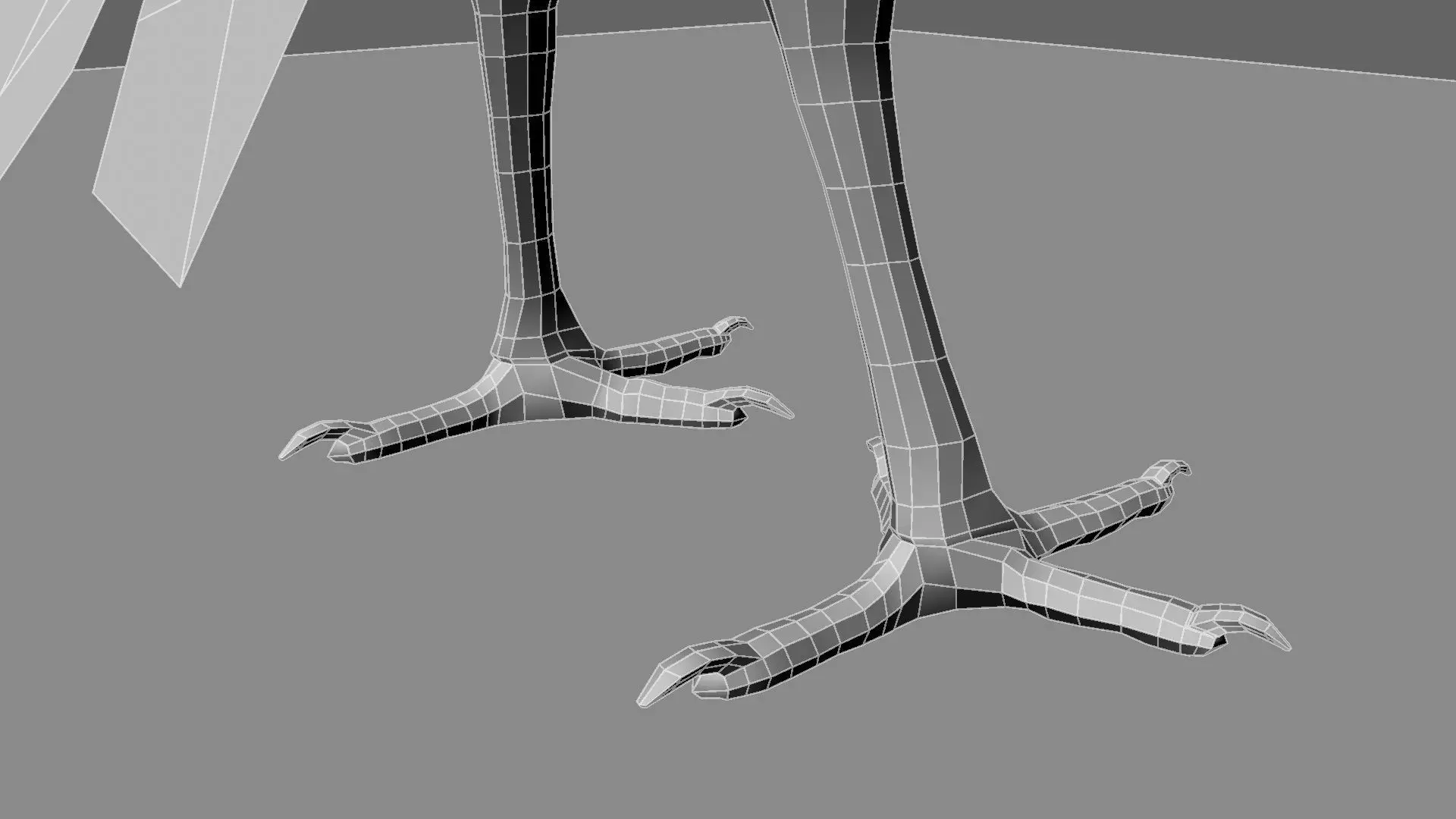 Scarlet-ibis Animation 3D model_27