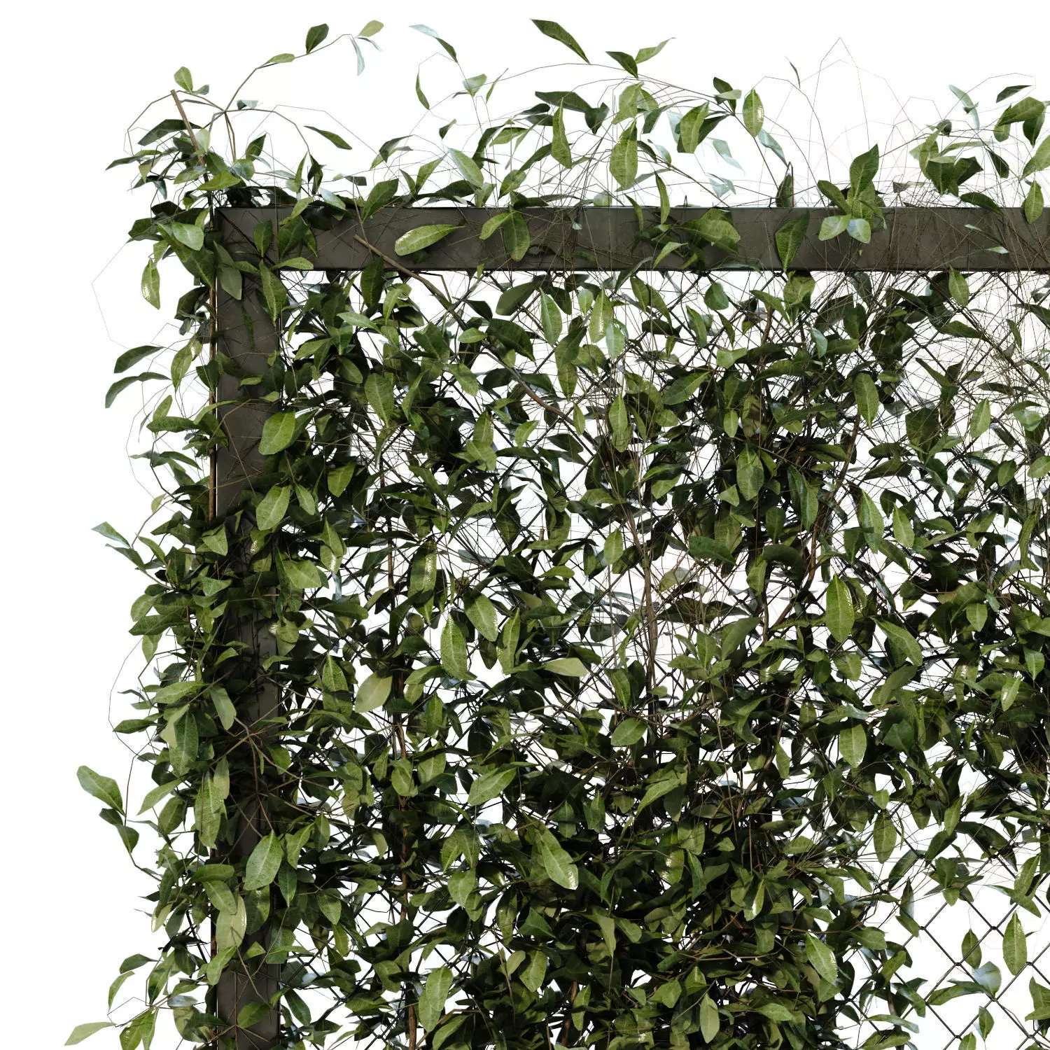 vertical plant fence partition set 654 3D model_1