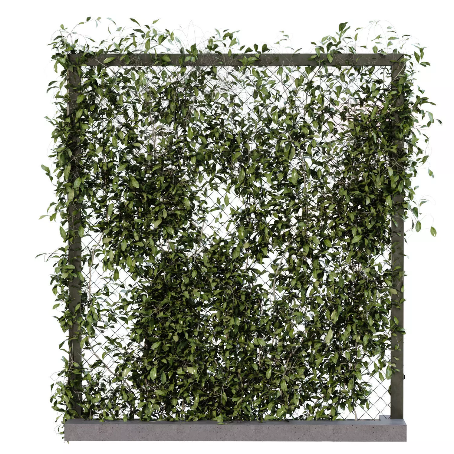 vertical plant fence partition set 654 3D model_0
