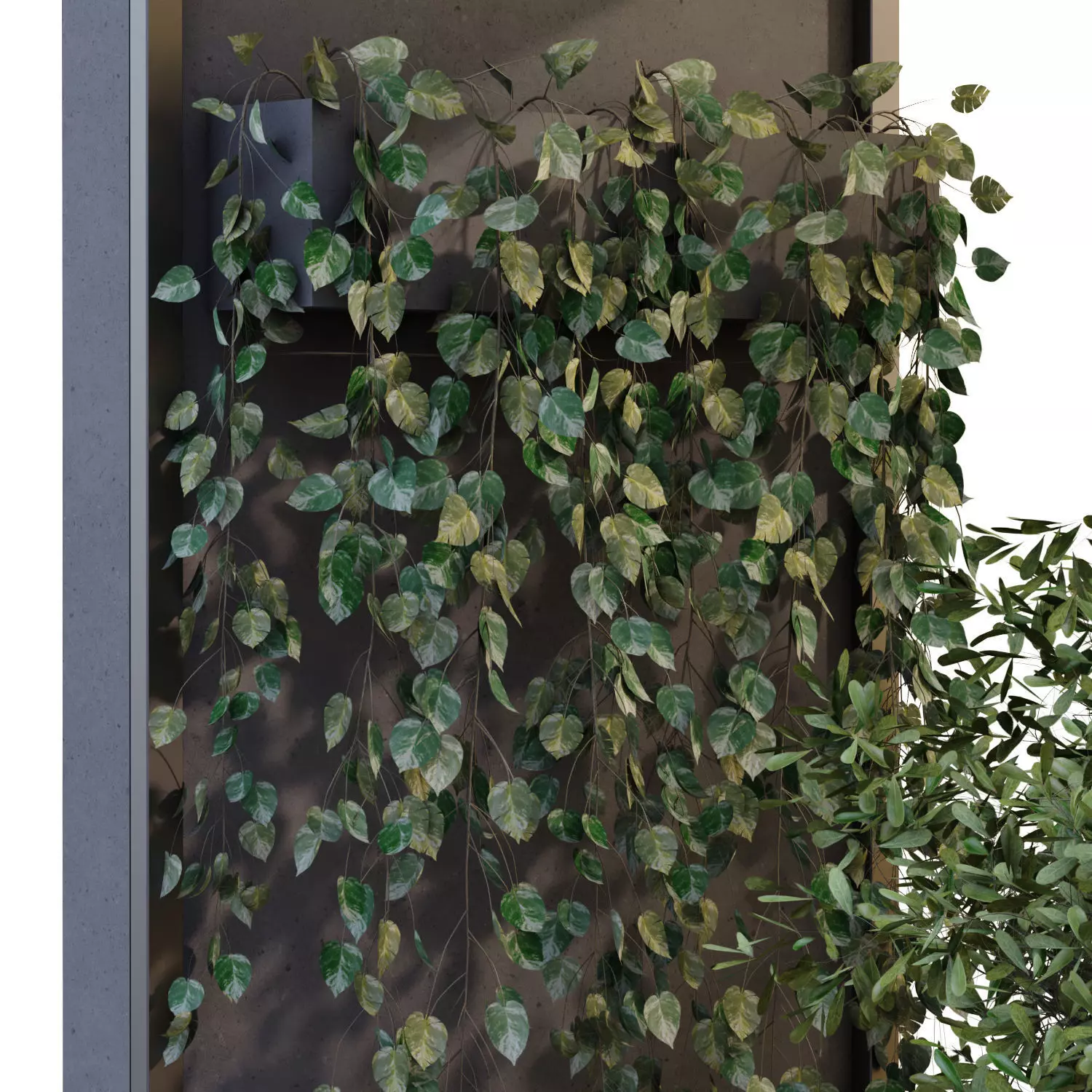 courtyard and minimal tree in box patio set 683 3D model_3