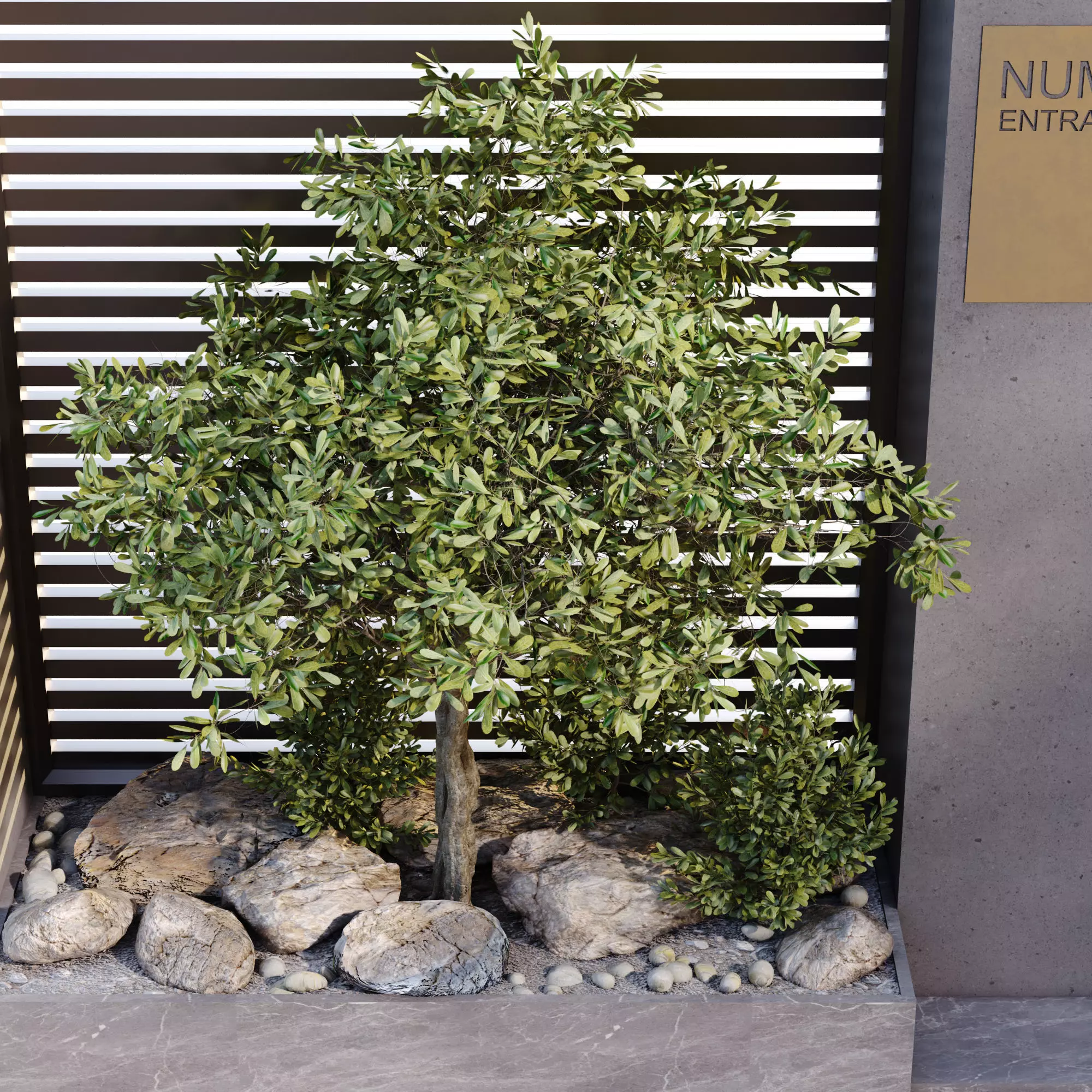 Entrance with plant green set 680 3D model_3