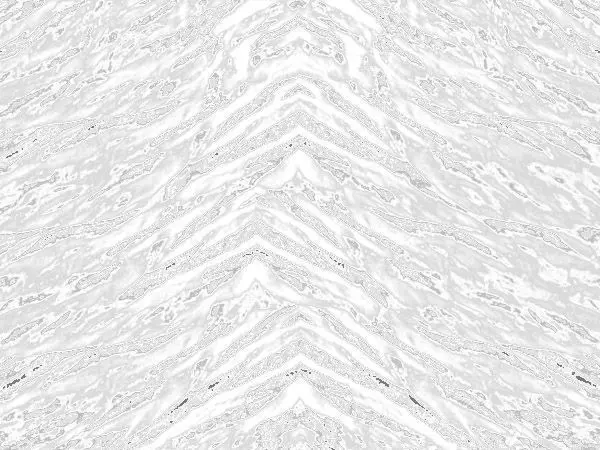 pack Hindi man and texture 3D model_34