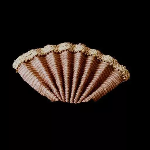 pack Hindi man and texture 3D model_32