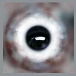 pack Hindi man and texture 3D model_99