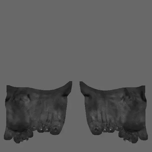 pack Hindi man and texture 3D model_40