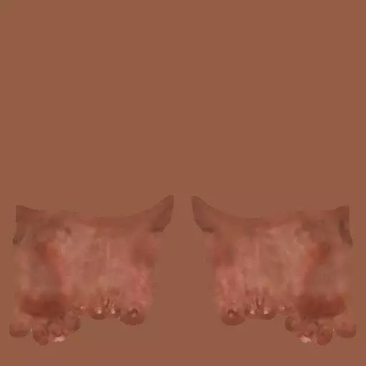 pack Hindi man and texture 3D model_77