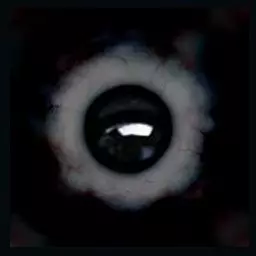 pack Hindi man and texture 3D model_61