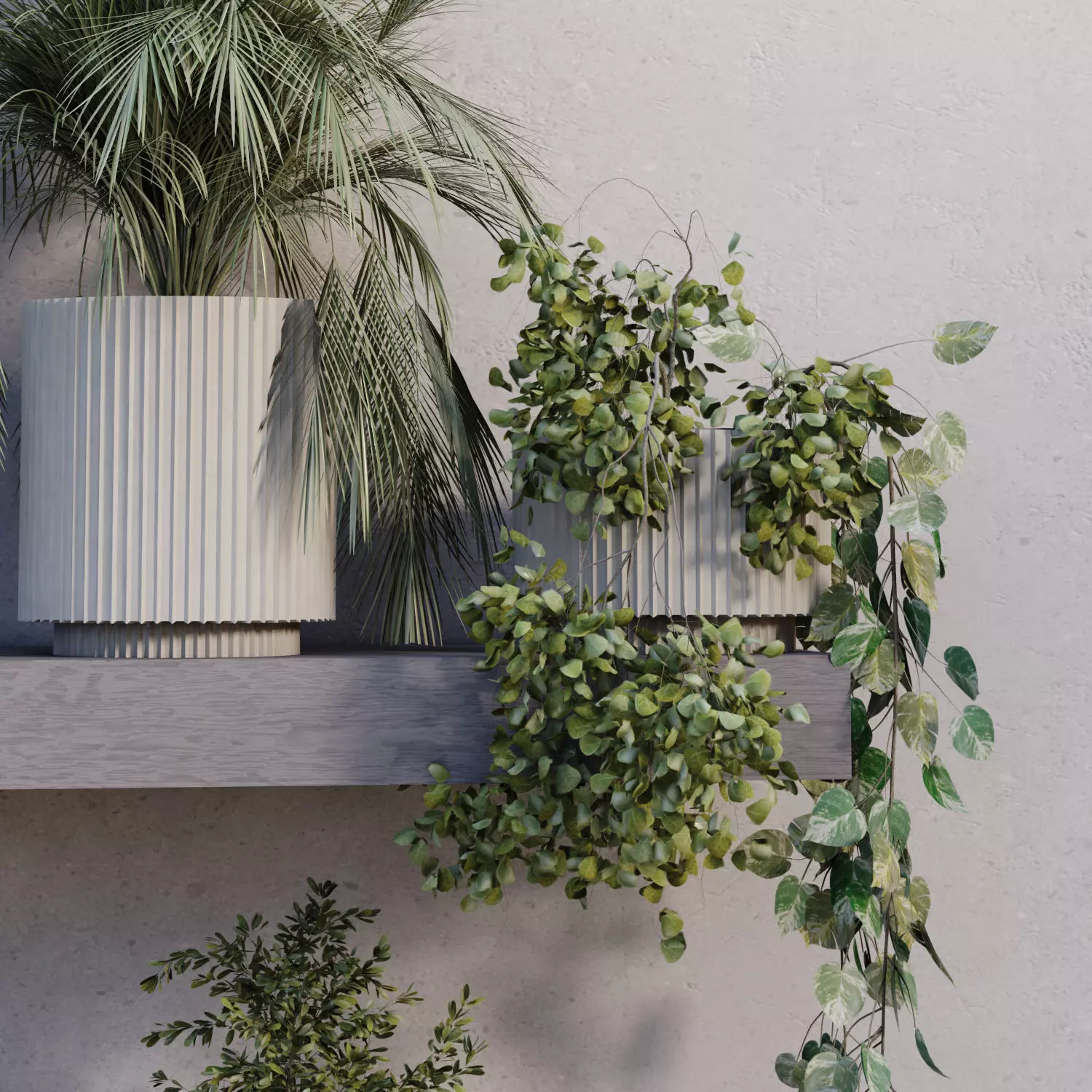  indoor plant in box collection set 681 3D model_2