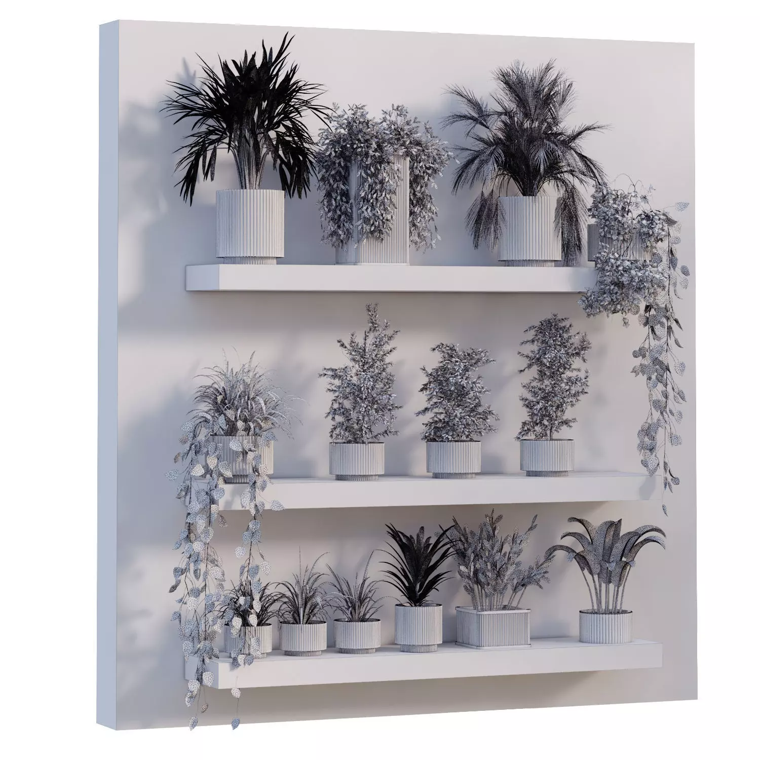  indoor plant in box collection set 681 3D model_4