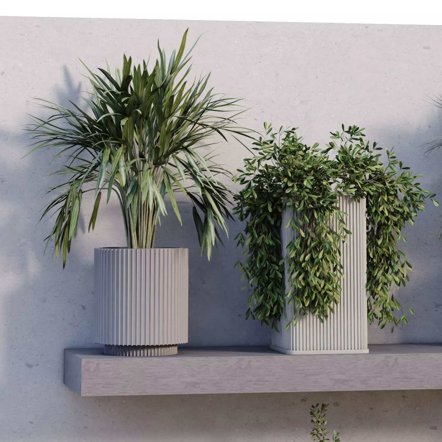  indoor plant in box collection set 681 3D model_3