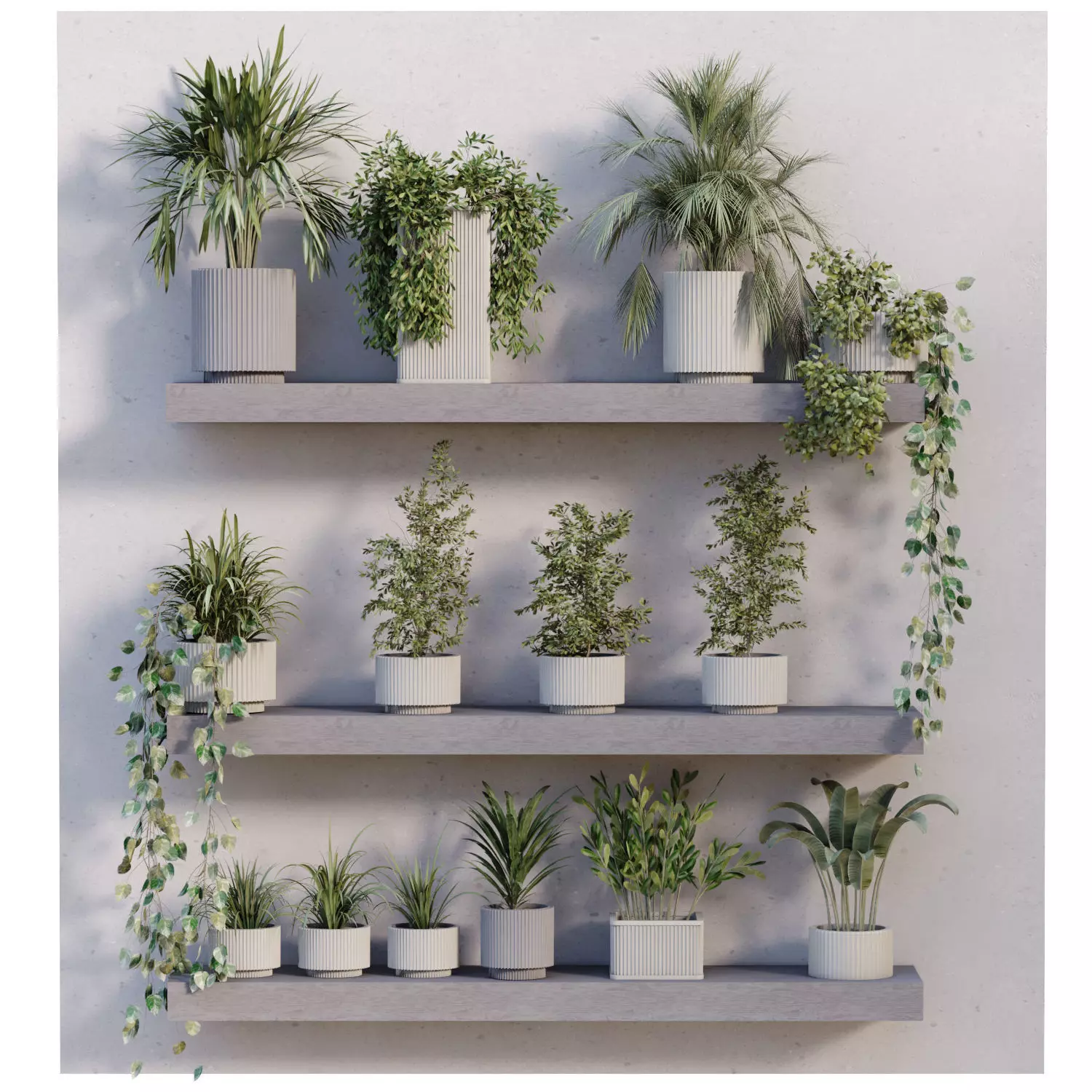  indoor plant in box collection set 681 3D model_0