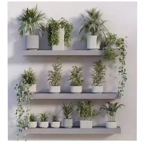  indoor plant in box collection set 681 3D model