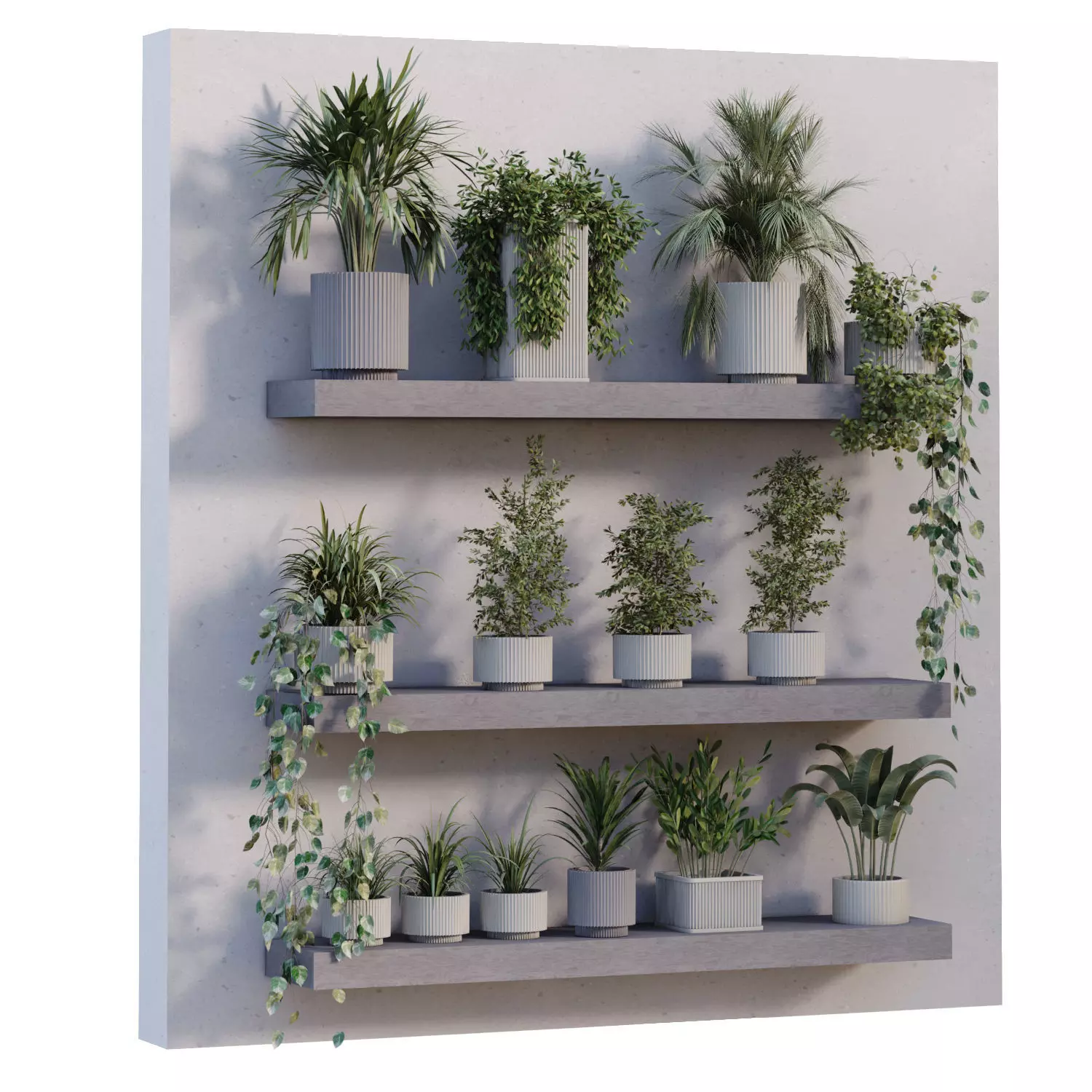  indoor plant in box collection set 681 3D model_1
