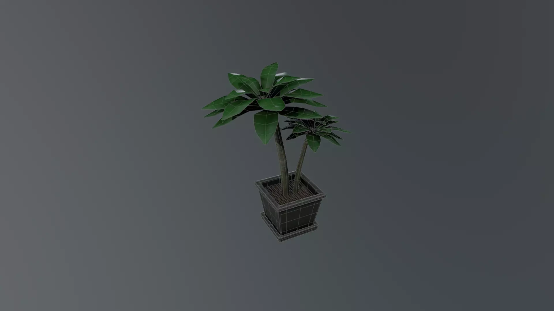 Pot Plant - Low Poly 3D Art Low-poly 3D model_4