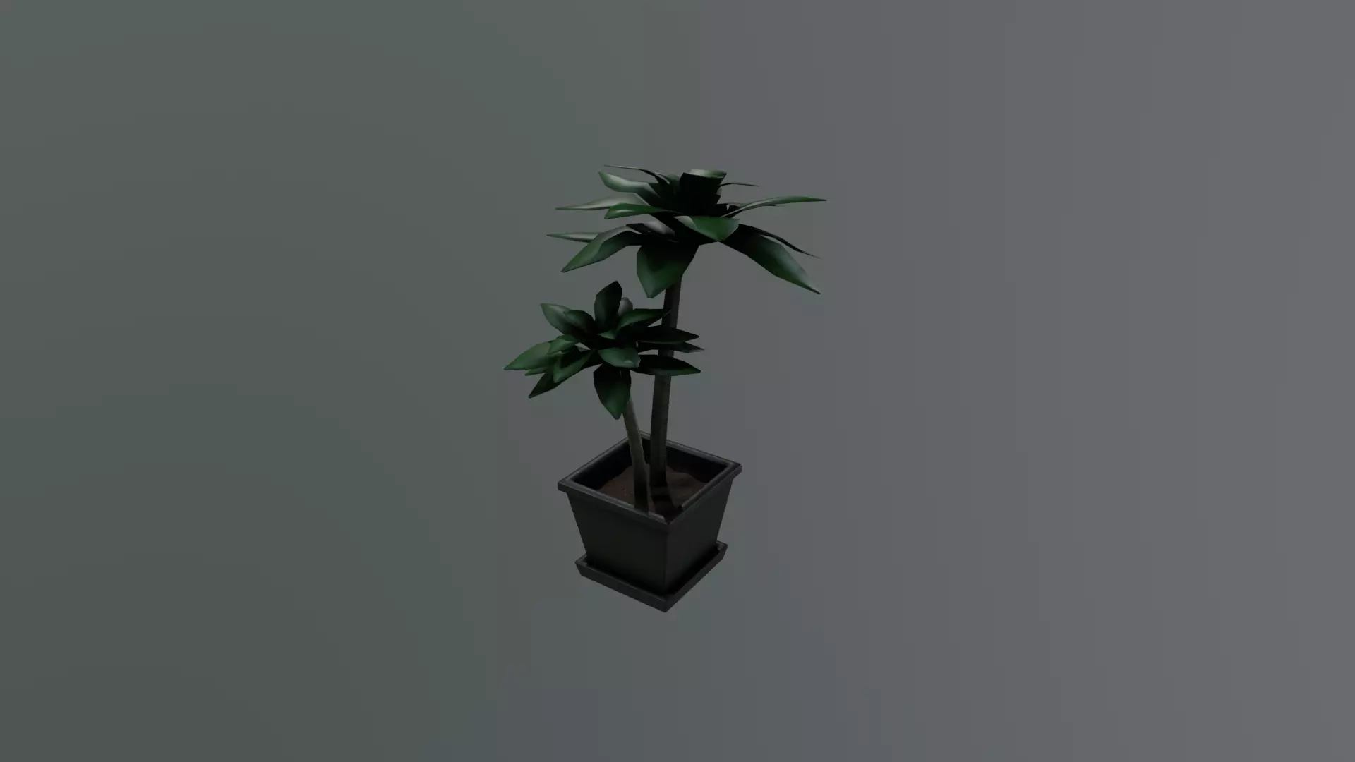 Pot Plant - Low Poly 3D Art Low-poly 3D model_5