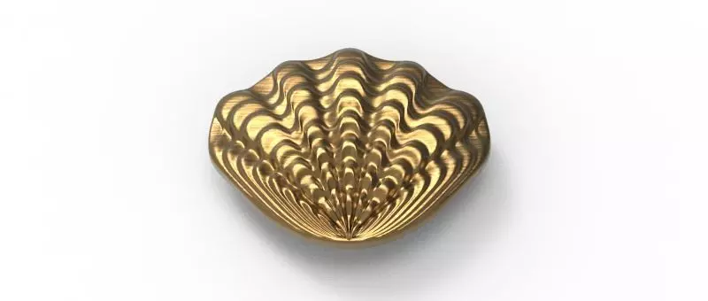 Shell-Shaped Shoe Ornament 3D print model