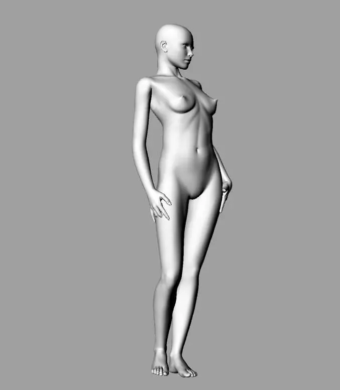 Femini 18 STL model 3D model