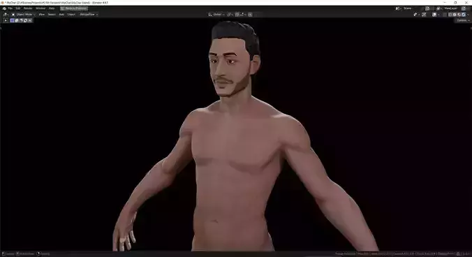 Male Anatomy Character