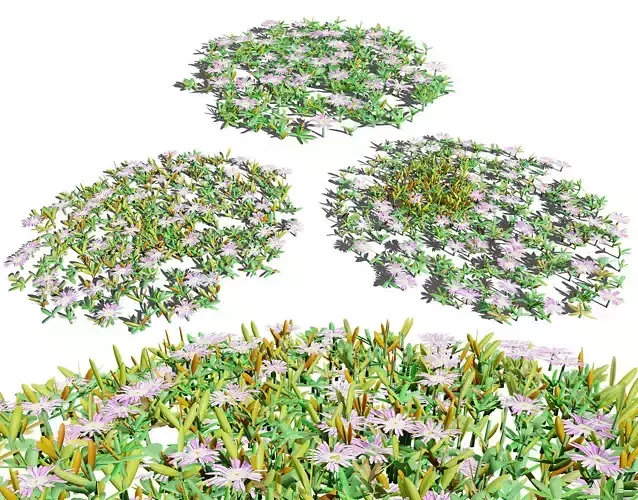 UK Purple Dewplant 3D Model Pack Low-poly 3D model
