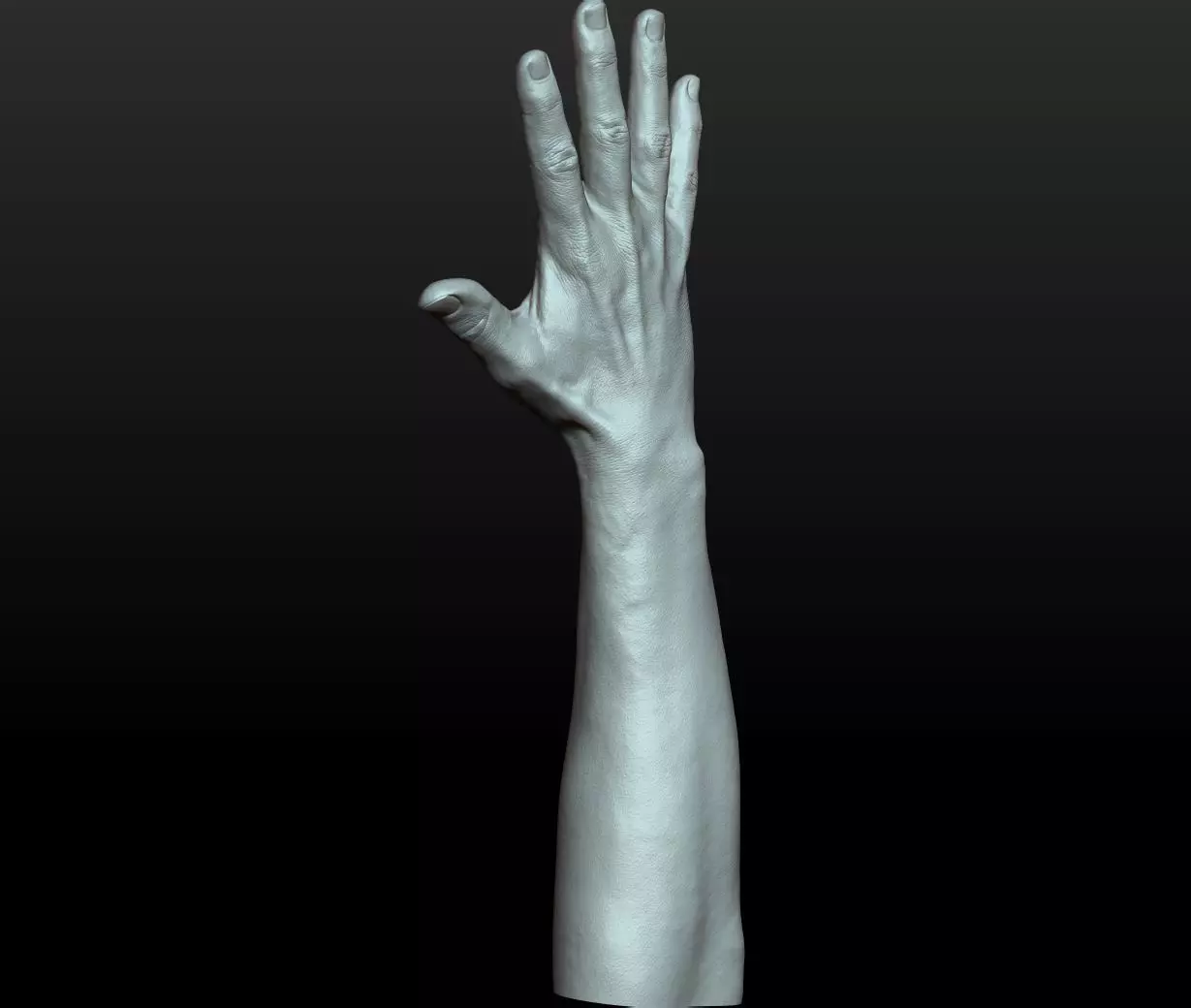 Rigged Highpoly Male Female Hand zbrush 3D print model_13
