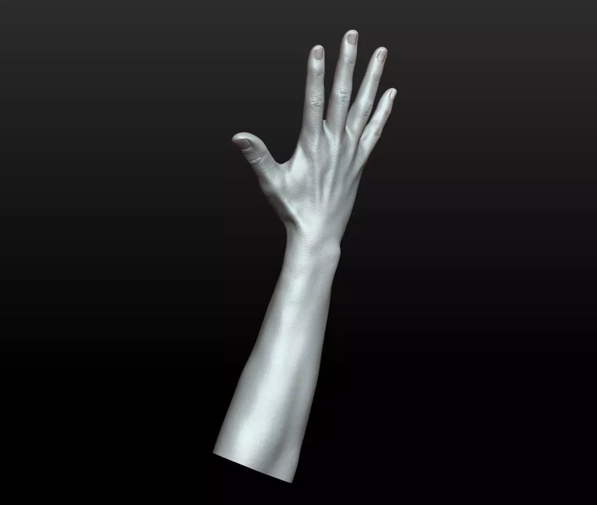 Rigged Highpoly Male Female Hand zbrush 3D print model_24