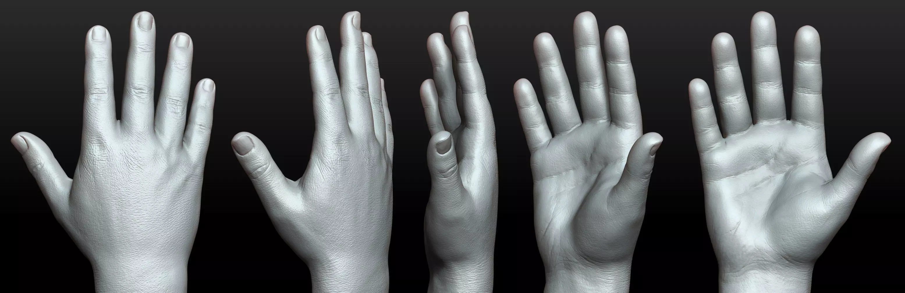 Rigged Highpoly Male Female Hand zbrush 3D print model_11