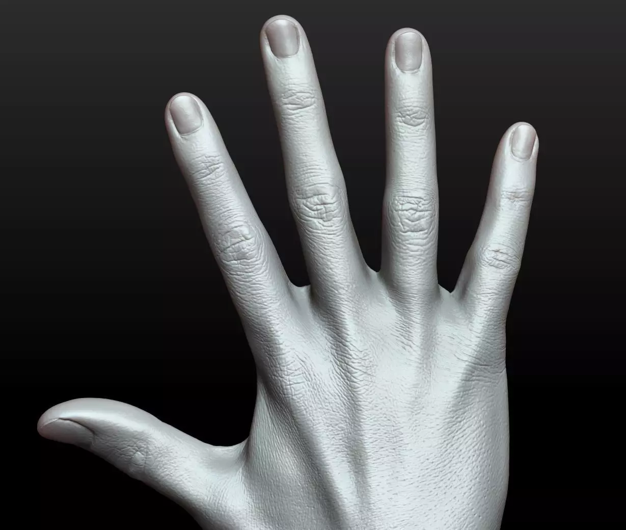 Rigged Highpoly Male Female Hand zbrush 3D print model_25
