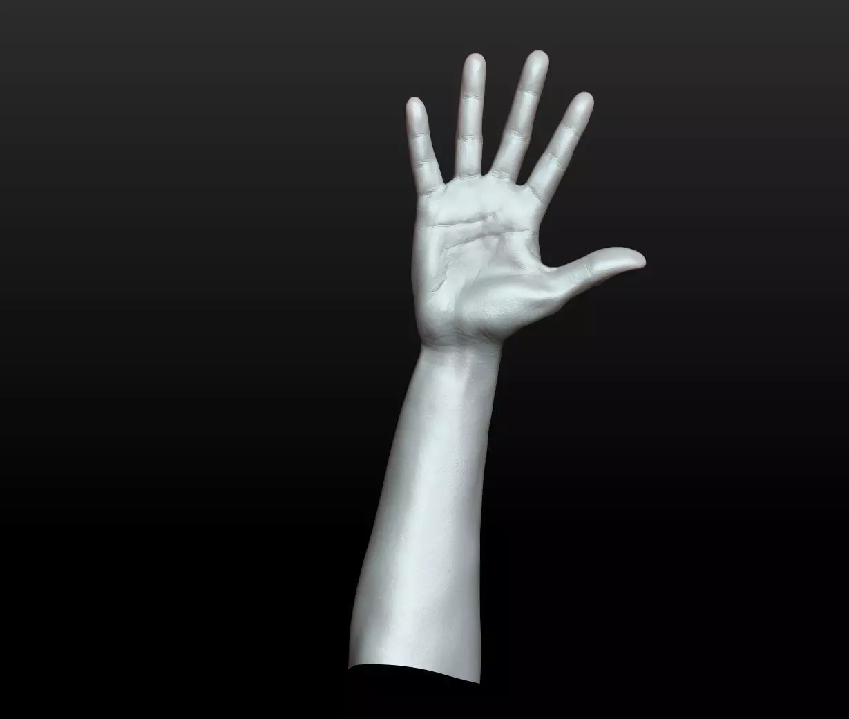 Rigged Highpoly Male Female Hand zbrush 3D print model_22