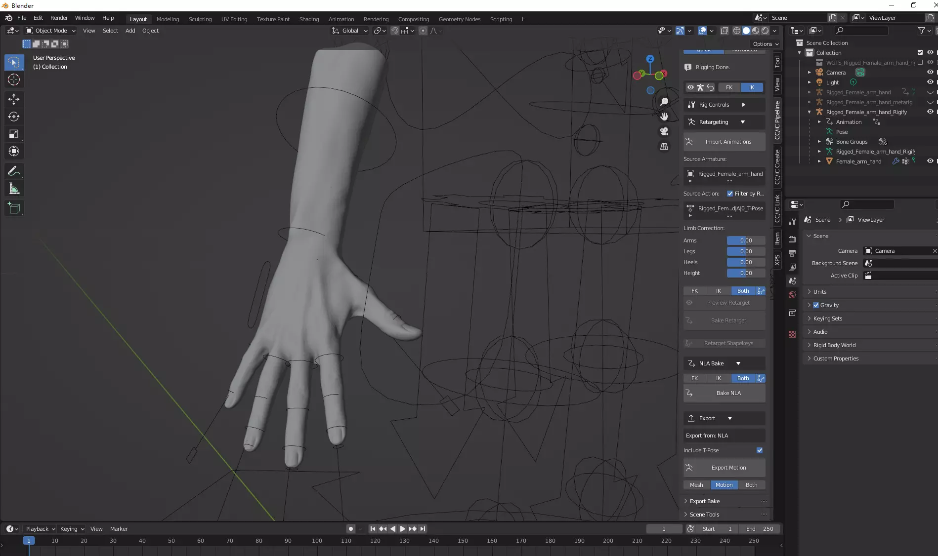 Rigged Highpoly Male Female Hand zbrush 3D print model_7