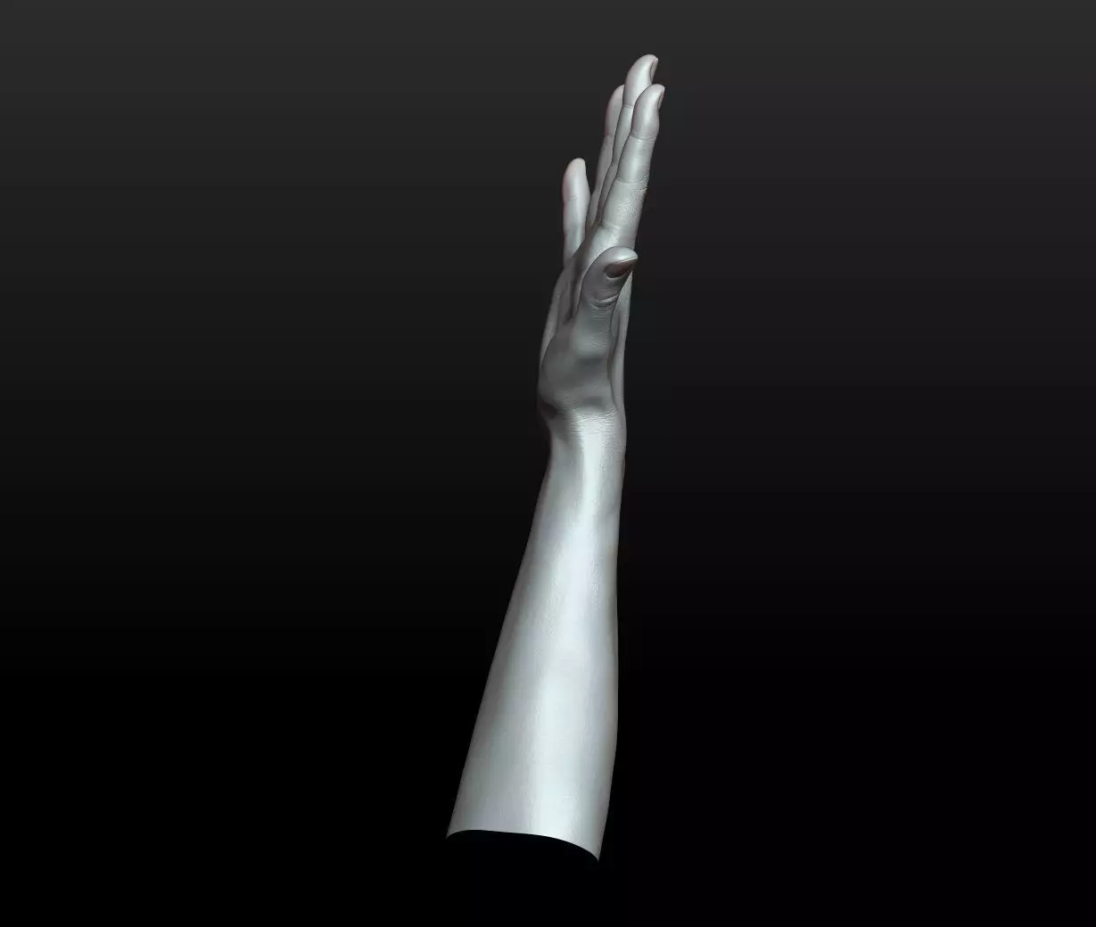 Rigged Highpoly Male Female Hand zbrush 3D print model_28