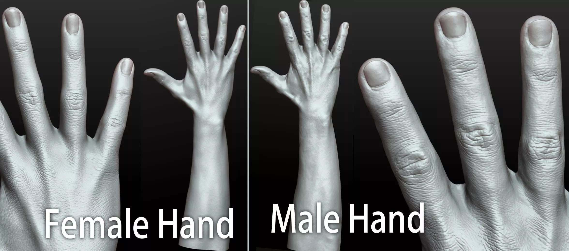 Rigged Highpoly Male Female Hand zbrush 3D print model_5
