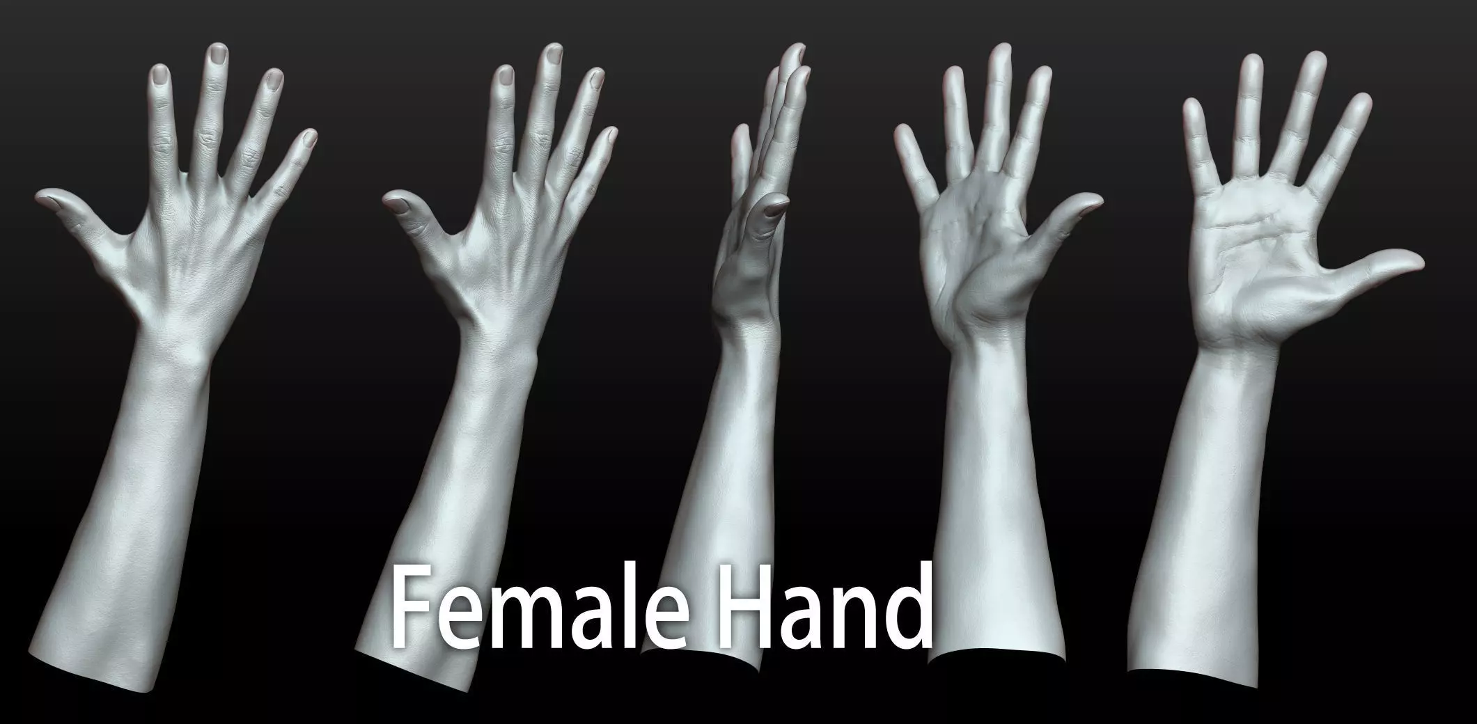 Rigged Highpoly Male Female Hand zbrush 3D print model_8