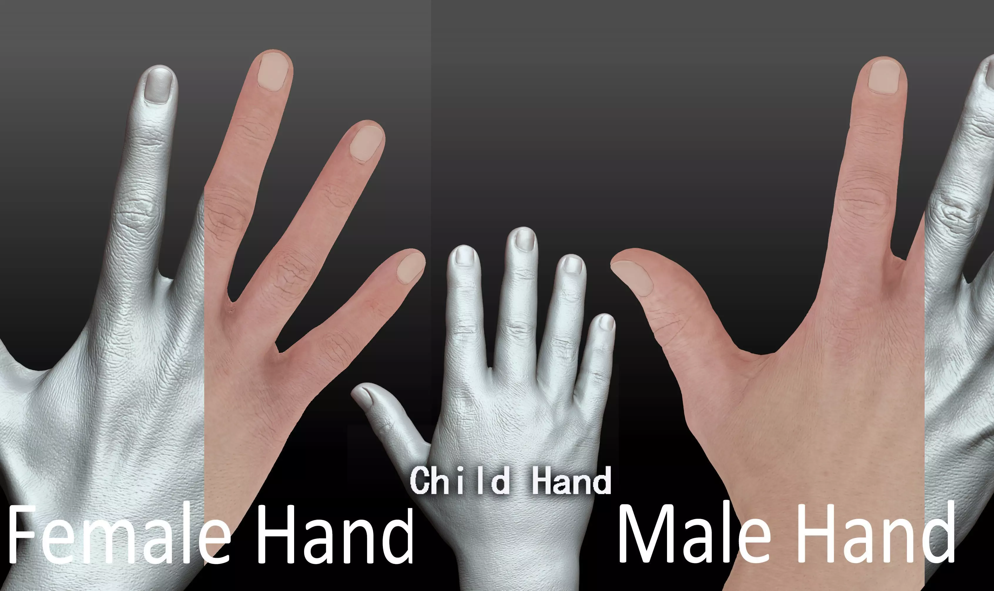 Rigged Highpoly Male Female Hand zbrush 3D print model_0