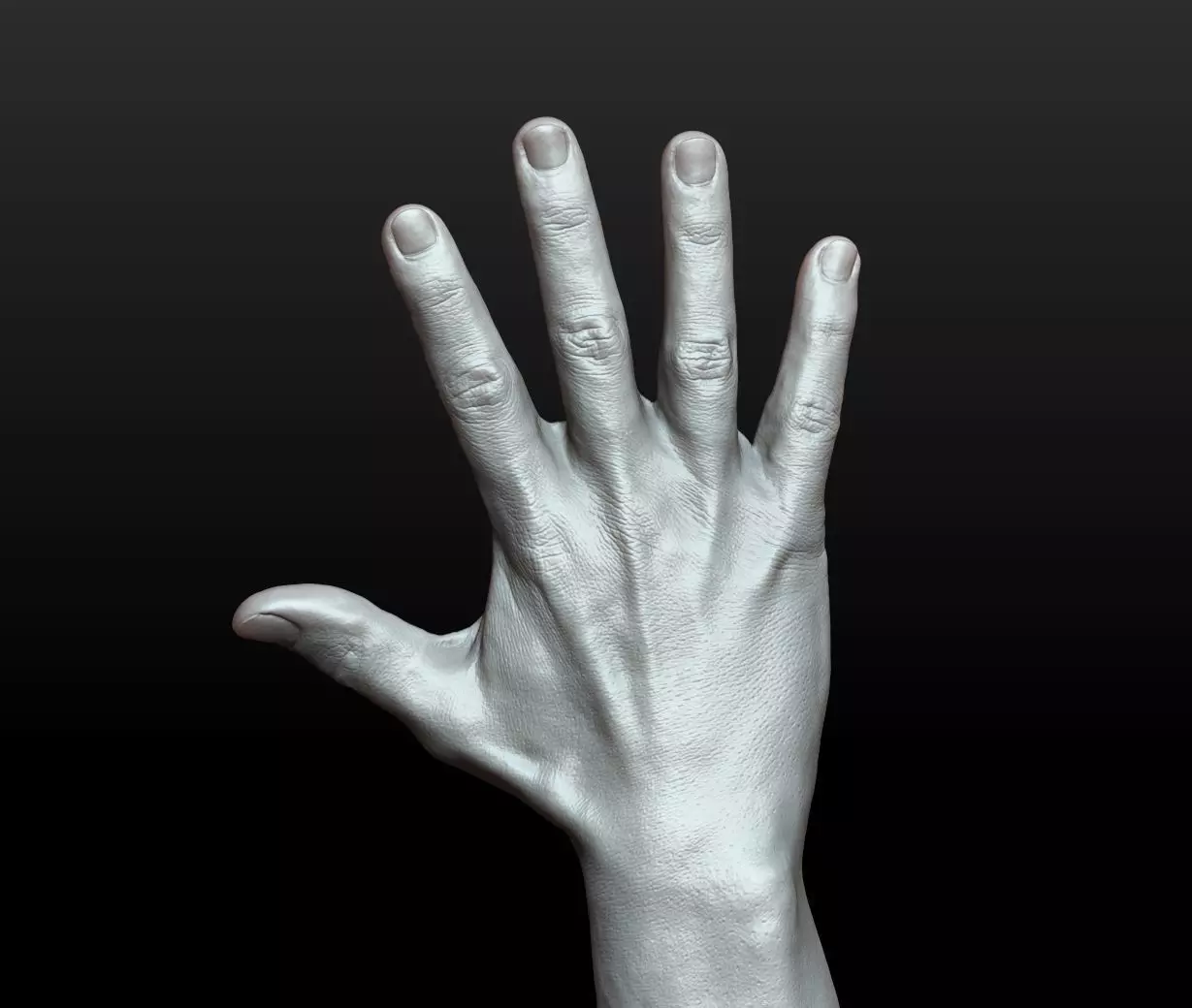 Rigged Highpoly Male Female Hand zbrush 3D print model_18