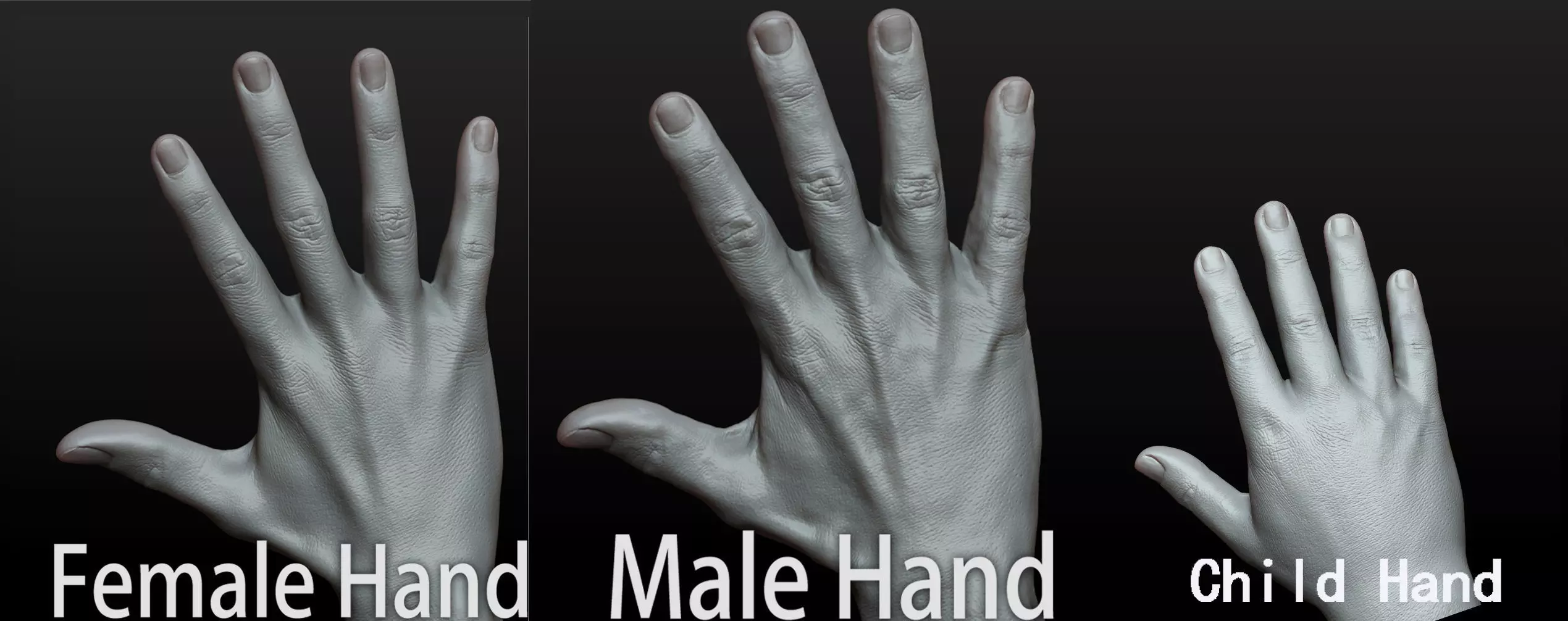 Rigged Highpoly Male Female Hand zbrush 3D print model_2