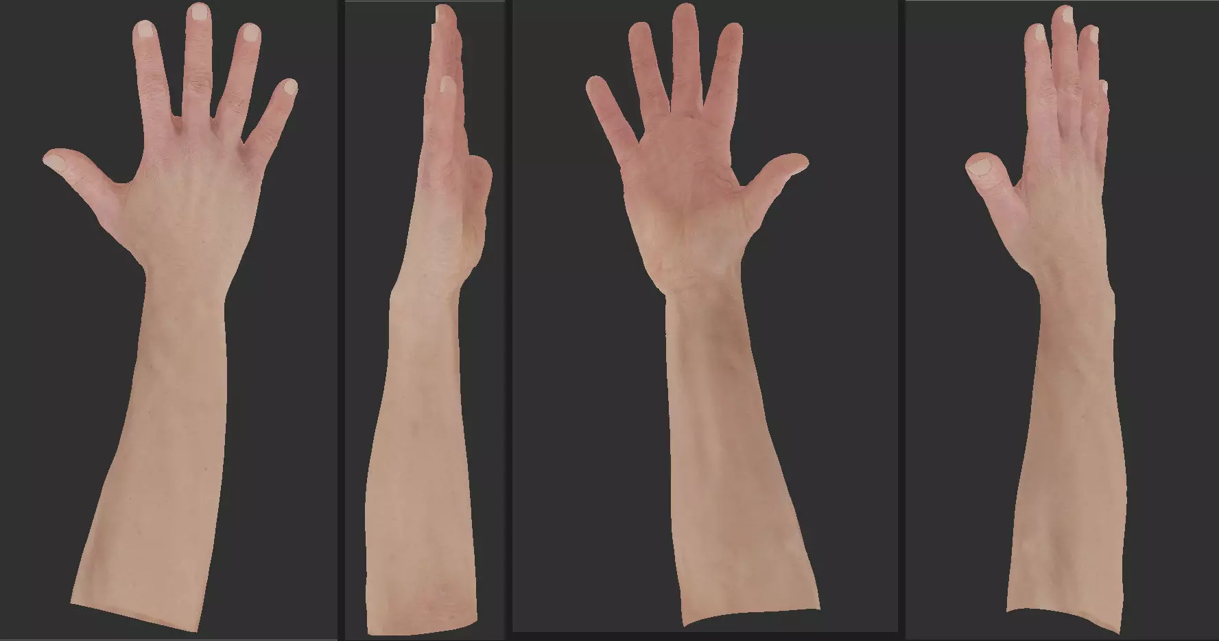 Rigged Highpoly Male Female Hand zbrush 3D print model_3