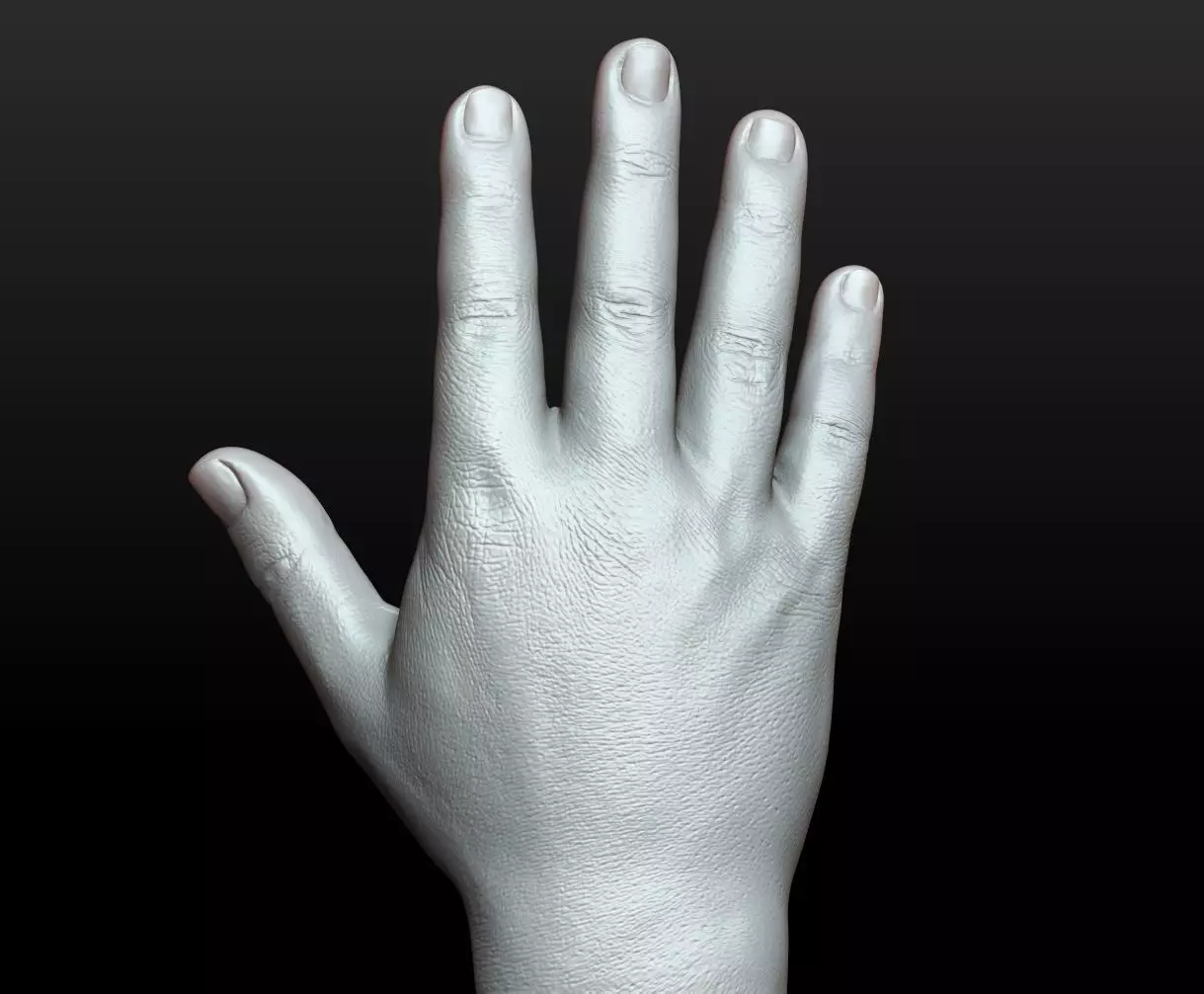 Rigged Highpoly Male Female Hand zbrush 3D print model_30