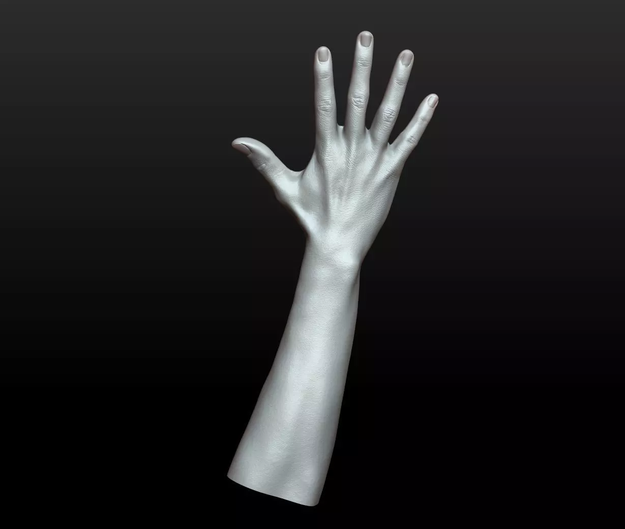 Rigged Highpoly Male Female Hand zbrush 3D print model_26