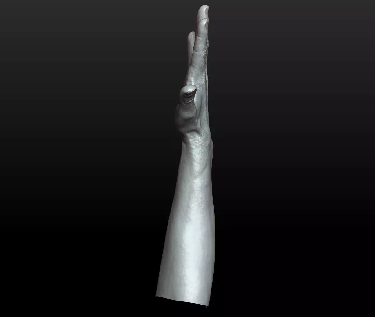 Rigged Highpoly Male Female Hand zbrush 3D print model_16