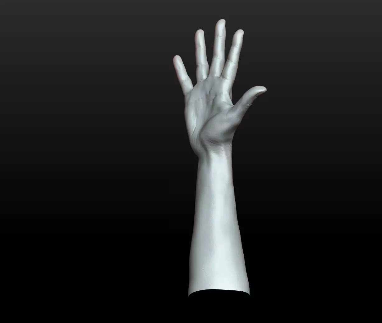 Rigged Highpoly Male Female Hand zbrush 3D print model_21