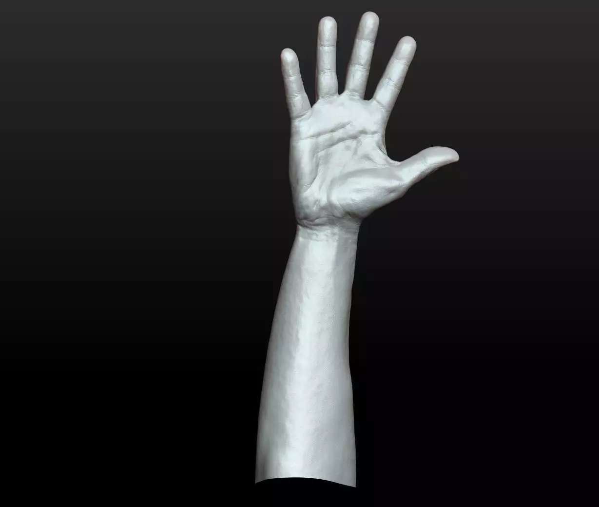 Rigged Highpoly Male Female Hand zbrush 3D print model_14