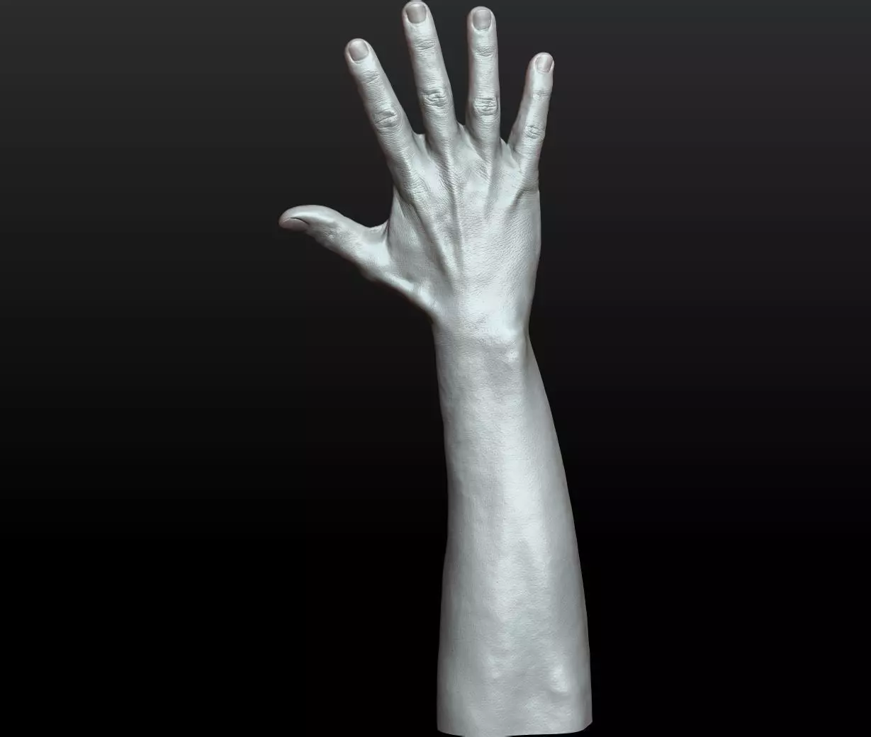 Rigged Highpoly Male Female Hand zbrush 3D print model_15