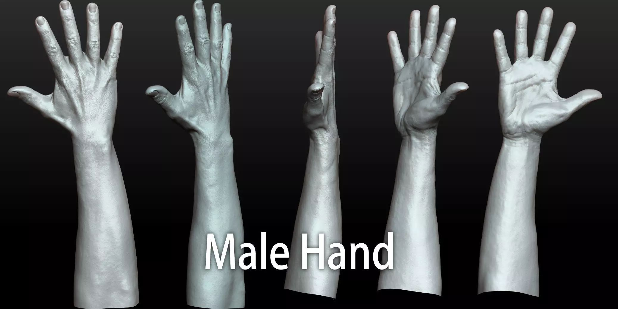 Rigged Highpoly Male Female Hand zbrush 3D print model_9