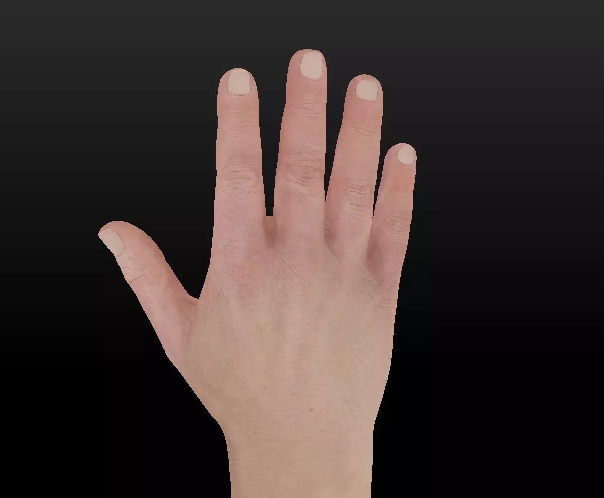 Rigged Highpoly Male Female Hand zbrush 3D print model_29