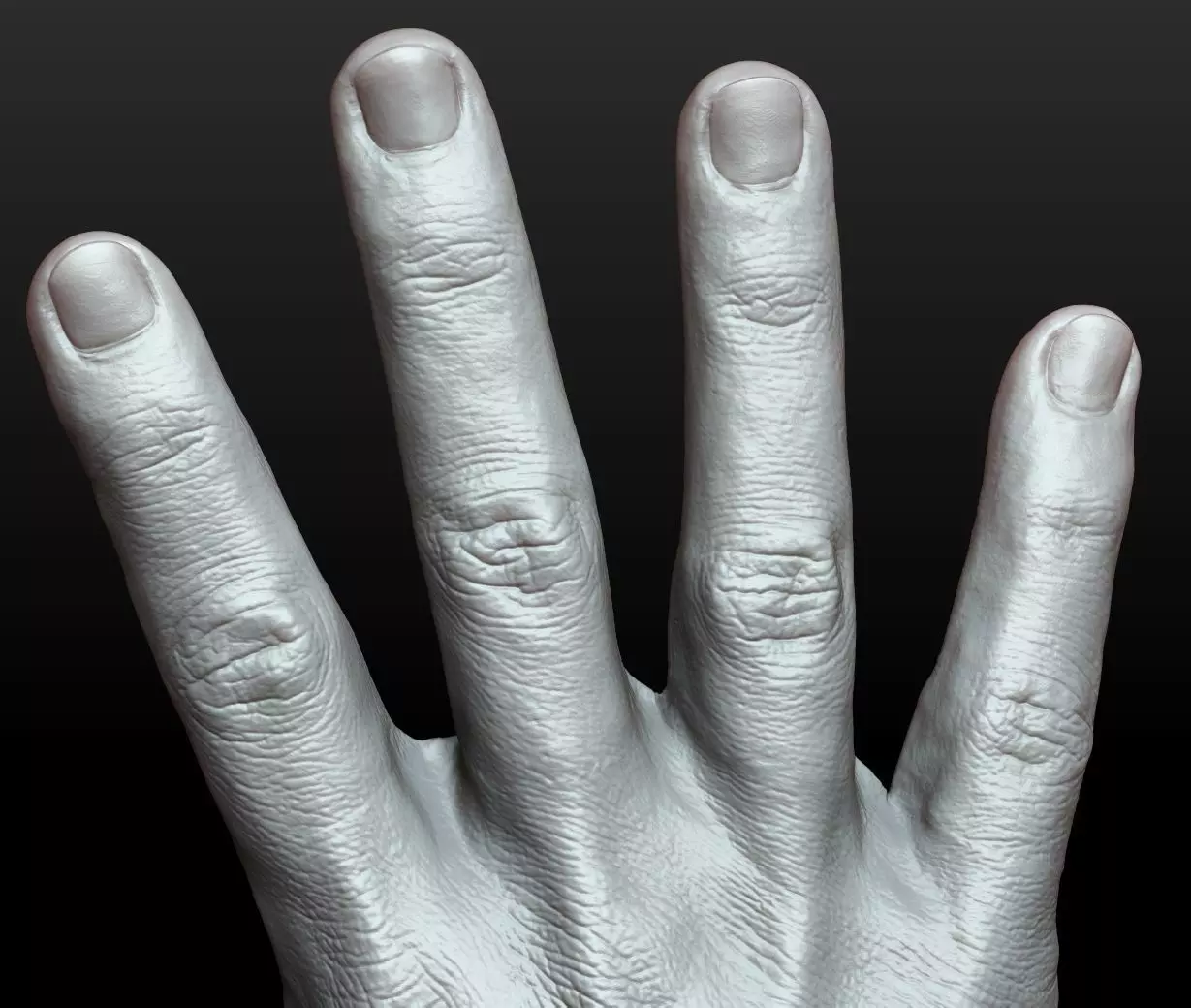 Rigged Highpoly Male Female Hand zbrush 3D print model_19