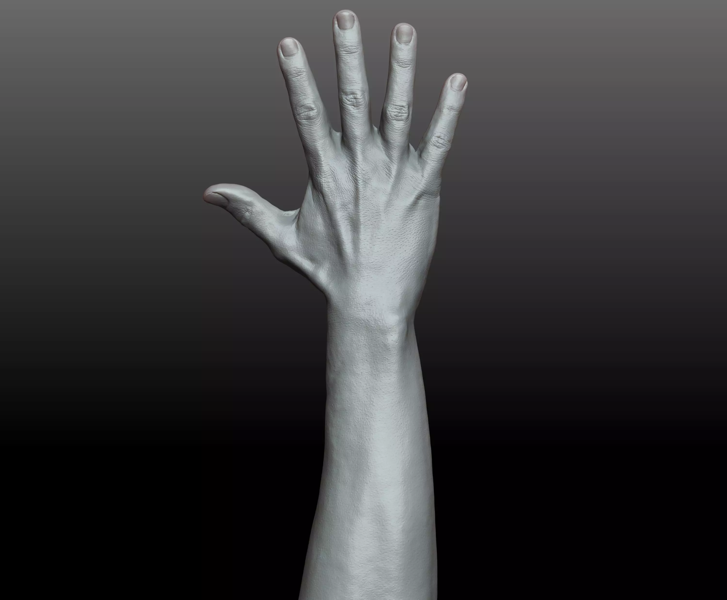 Rigged Highpoly Male Female Hand zbrush 3D print model_20