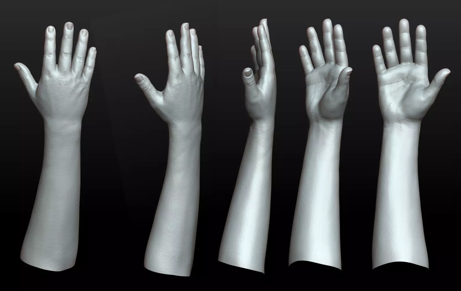 Rigged Highpoly Male Female Hand zbrush 3D print model_10