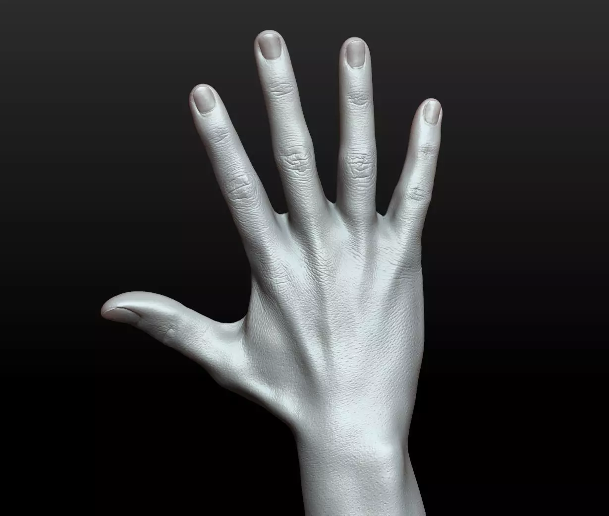 Rigged Highpoly Male Female Hand zbrush 3D print model_27