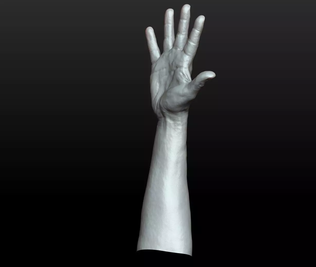 Rigged Highpoly Male Female Hand zbrush 3D print model_12