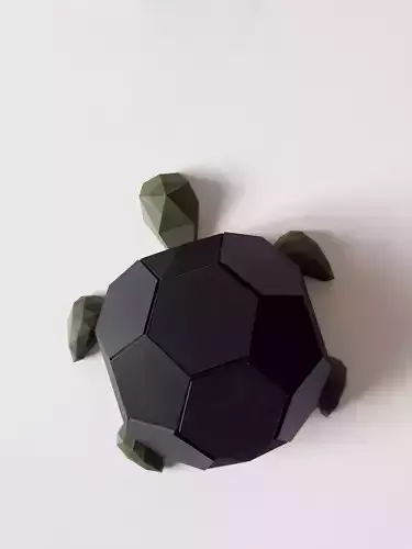 Black HexaTurtle